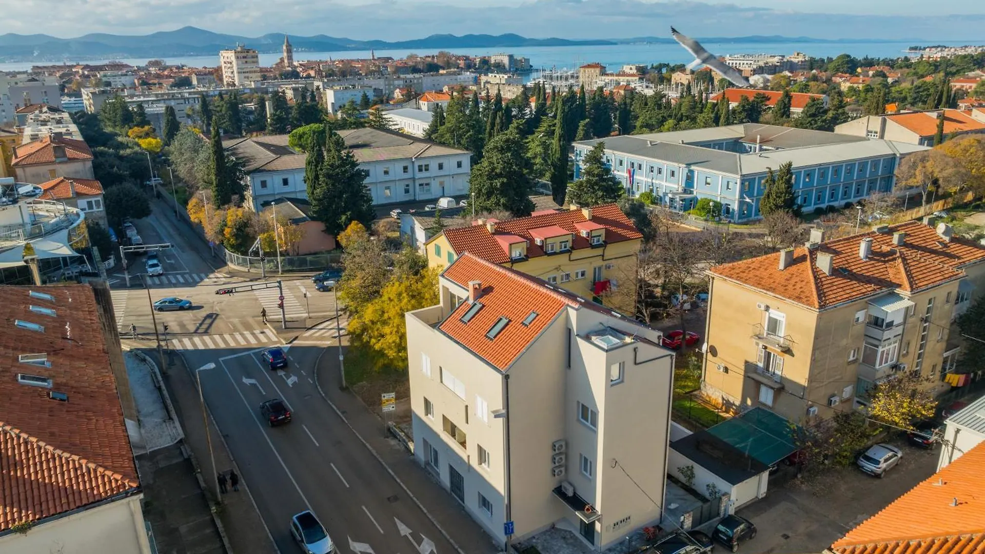 Olea Delux Rooms Zadar Guest house